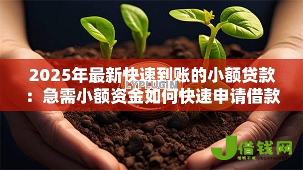 2025年最新快速到账的小额贷款:急需小额资金如何快速申请借款 2025年最新快速到账的小额贷款:急需小额资金如何快速申请借款