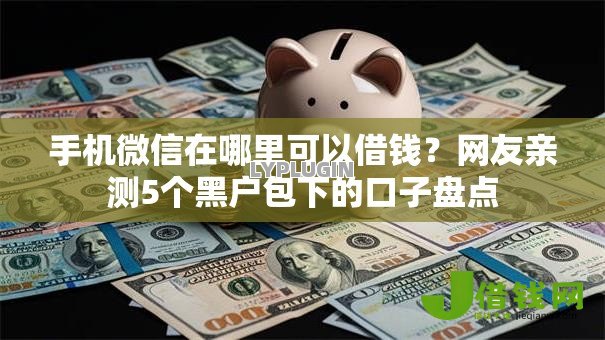 手机微信在哪里可以借钱？网友亲测5个黑户包下的口子盘点