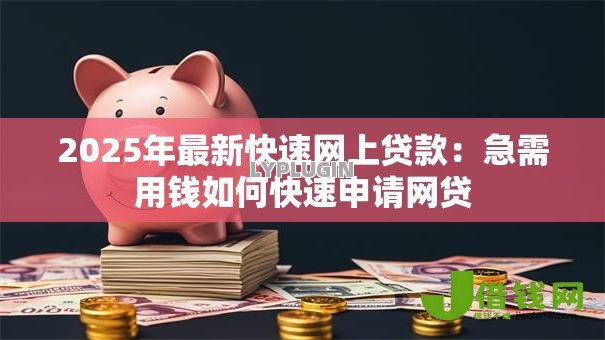 2025年最新快速网上贷款：急需用钱如何快速申请网贷
