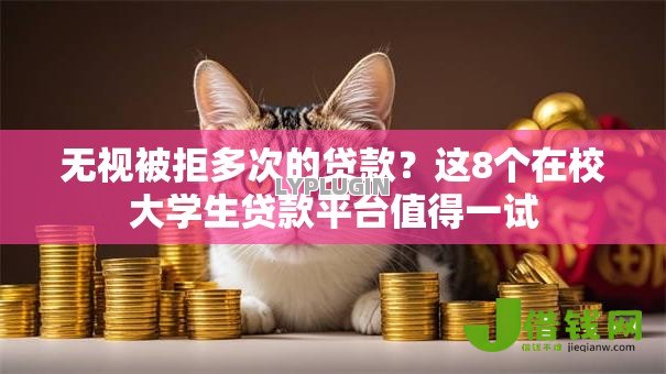 无视被拒多次的贷款？这8个在校大学生贷款平台值得一试