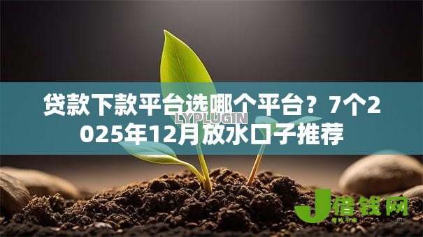 贷款下款平台选哪个平台？7个2025年12月放水口子推荐