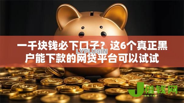 一千块钱必下口子？这6个真正黑户能下款的网贷平台可以试试
