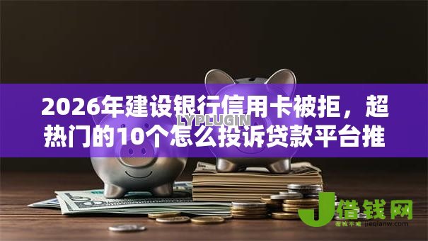 2026年建设银行信用卡被拒，超热门的10个怎么投诉贷款平台推荐