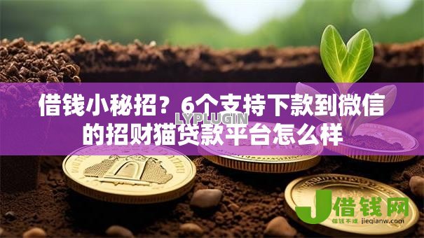 借钱小秘招？6个支持下款到微信的招财猫贷款平台怎么样