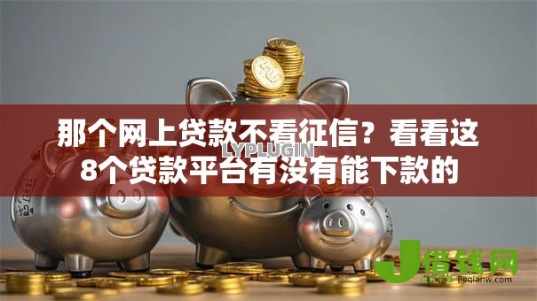 那个网上贷款不看征信？看看这8个贷款平台有没有能下款的