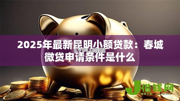 2025年最新昆明小额贷款：春城微贷申请条件是什么