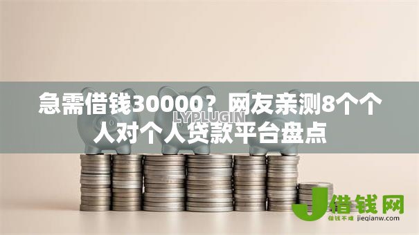 急需借钱30000？网友亲测8个个人对个人贷款平台盘点