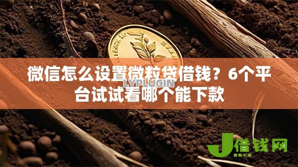 微信怎么设置微粒贷借钱?6个平台试试看哪个能下款 微信怎么设置微粒贷借钱?6个平台试试看哪个能下款