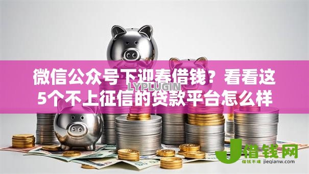 微信公众号下迎春借钱？看看这5个不上征信的贷款平台怎么样