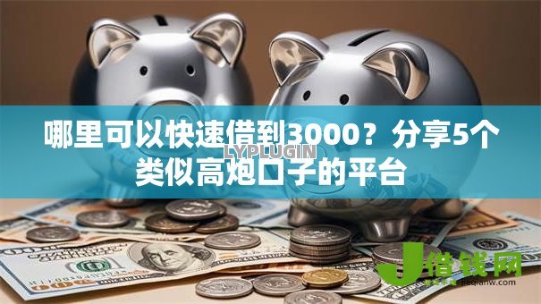 哪里可以快速借到3000？分享5个类似高炮口子的平台