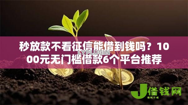 秒放款不看征信能借到钱吗？1000元无门槛借款6个平台推荐