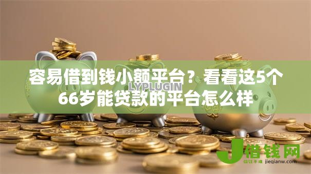 容易借到钱小额平台？看看这5个66岁能贷款的平台怎么样