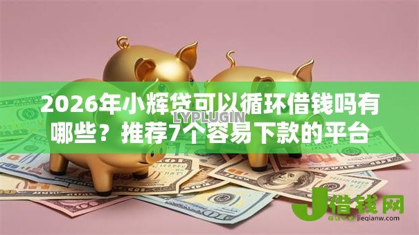 2026年小辉贷可以循环借钱吗有哪些?推荐7个容易下款的平台 2026年小辉贷可以循环借钱吗有哪些?推荐7个容易下款的平台