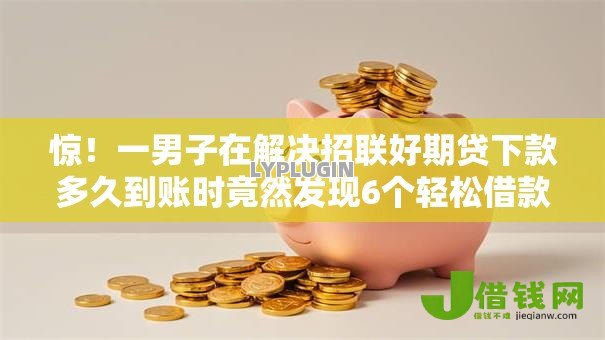 惊！一男子在解决招联好期贷下款多久到账时竟然发现6个轻松借款无压力平台，事后分享了出来