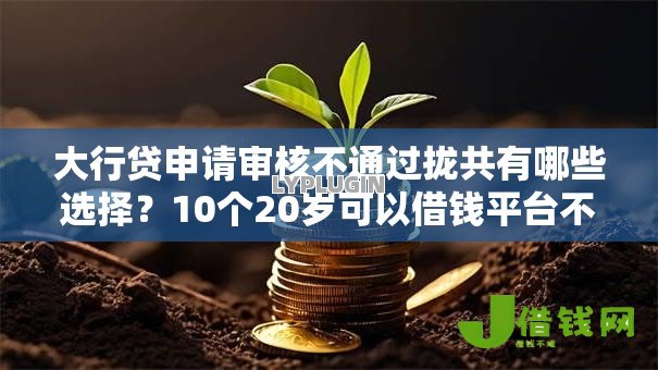大行贷申请审核不通过拢共有哪些选择?10个20岁可以借钱平台不查征信的平台详解 大行贷申请审核不通过拢共有哪些选择?10个20岁可以借钱平台不查征信的平台详解