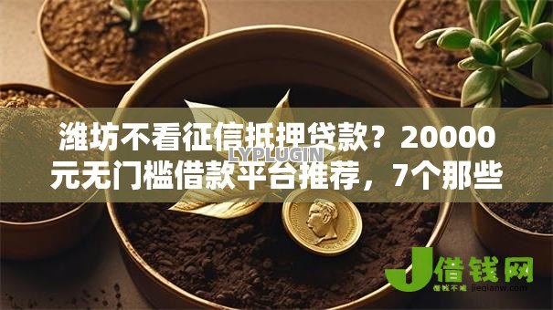 潍坊不看征信抵押贷款？20000元无门槛借款平台推荐，7个那些贷款平台可靠盘点