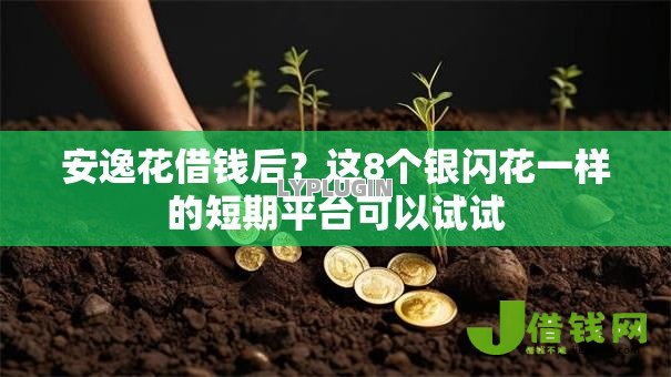 安逸花借钱后？这8个银闪花一样的短期平台可以试试