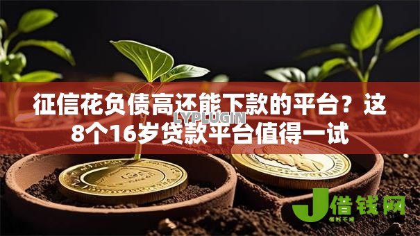 征信花负债高还能下款的平台?这8个16岁贷款平台值得一试 征信花负债高还能下款的平台?这8个16岁贷款平台值得一试