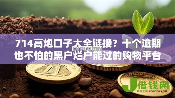 714高炮口子大全链接？十个逾期也不怕的黑户烂户能过的购物平台
