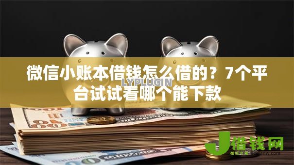 微信小账本借钱怎么借的？7个平台试试看哪个能下款