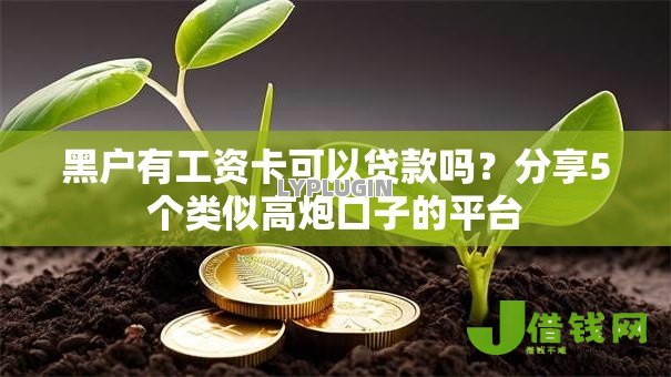 黑户有工资卡可以贷款吗？分享5个类似高炮口子的平台
