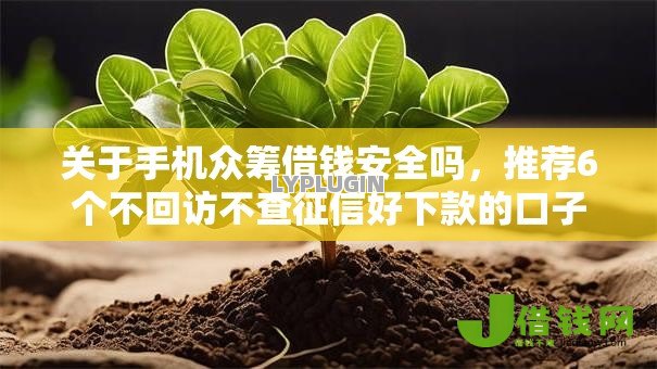 关于手机众筹借钱安全吗，推荐6个不回访不查征信好下款的口子给你