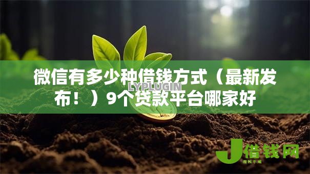 微信有多少种借钱方式(最新发布!)9个贷款平台哪家好 微信有多少种借钱方式(最新发布!)9个贷款平台哪家好