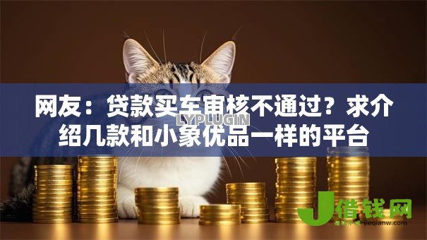 网友：贷款买车审核不通过？求介绍几款和小象优品一样的平台