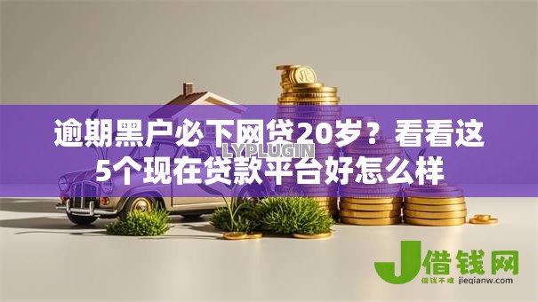 逾期黑户必下网贷20岁？看看这5个现在贷款平台好怎么样