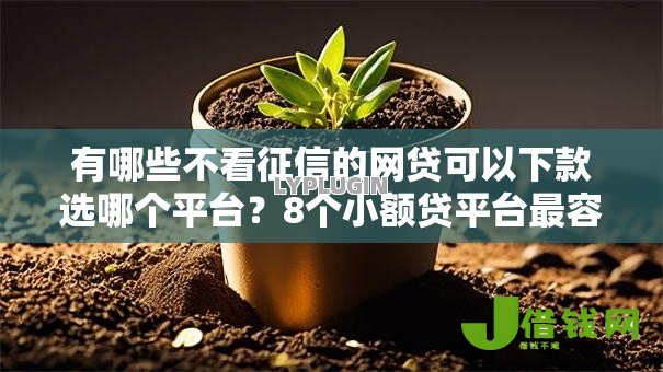 有哪些不看征信的网贷可以下款选哪个平台？8个小额贷平台最容易下款推荐