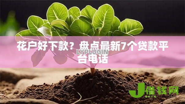 花户好下款?盘点最新7个贷款平台电话 花户好下款?盘点最新7个贷款平台电话