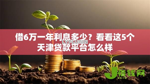 借6万一年利息多少?看看这5个天津贷款平台怎么样 借6万一年利息多少?看看这5个天津贷款平台怎么样