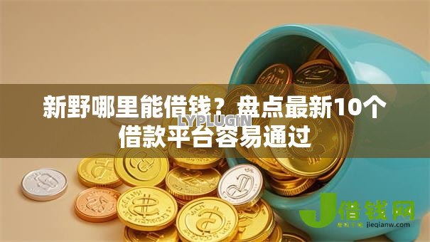 新野哪里能借钱？盘点最新10个借款平台容易通过