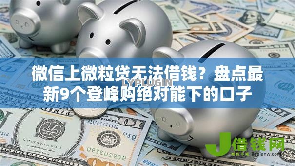 微信上微粒贷无法借钱？盘点最新9个登峰购绝对能下的口子