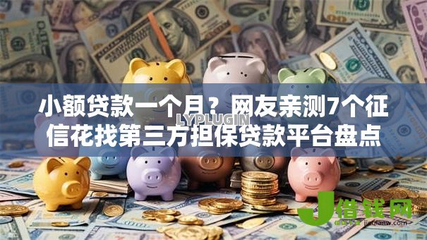小额贷款一个月？网友亲测7个征信花找第三方担保贷款平台盘点