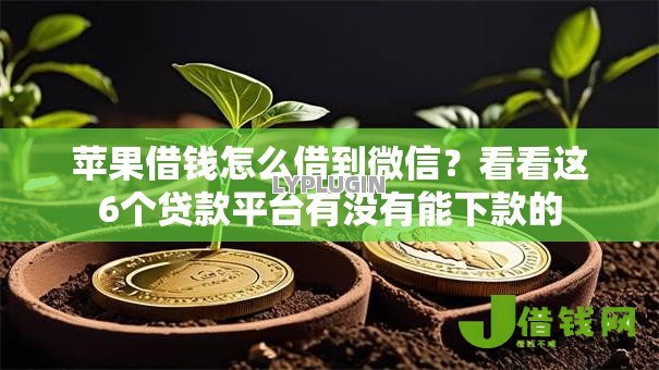 苹果借钱怎么借到微信？看看这6个贷款平台有没有能下款的