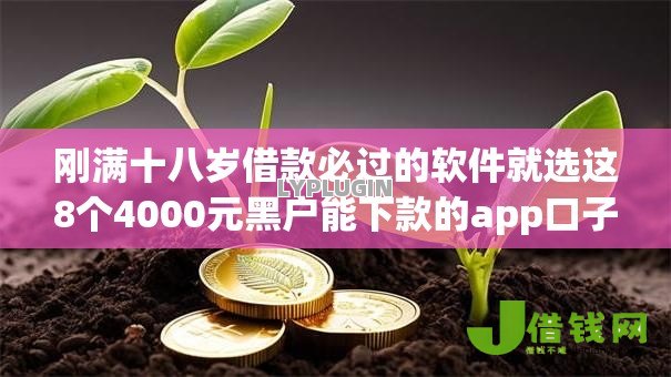 刚满十八岁借款必过的软件就选这8个4000元黑户能下款的app口子入口