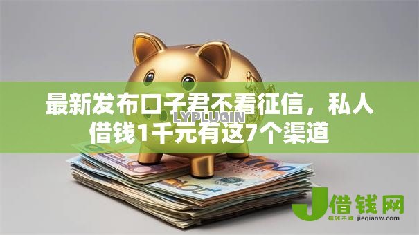 最新发布口子君不看征信，私人借钱1千元有这7个渠道