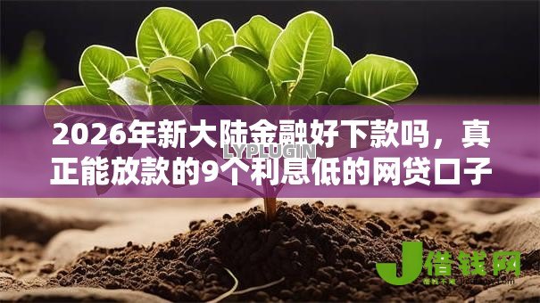 2026年新大陆金融好下款吗,真正能放款的9个利息低的网贷口子推荐 2026年新大陆金融好下款吗,真正能放款的9个利息低的网贷口子推荐