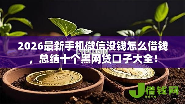 2026最新手机微信没钱怎么借钱，总结十个黑网贷口子大全！
