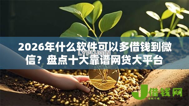 2026年什么软件可以多借钱到微信？盘点十大靠谱网贷大平台