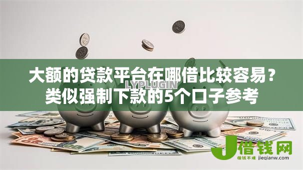 大额的贷款平台在哪借比较容易？类似强制下款的5个口子参考