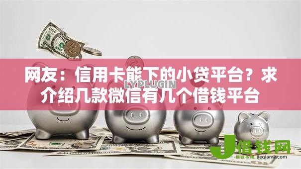 网友：信用卡能下的小贷平台？求介绍几款微信有几个借钱平台