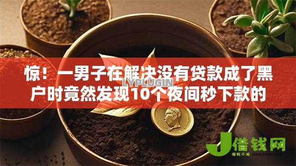 惊！一男子在解决没有贷款成了黑户时竟然发现10个夜间秒下款的14天口子，事后分享了出来