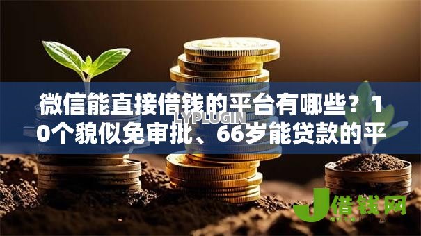 微信能直接借钱的平台有哪些?10个貌似免审批、66岁能贷款的平台合集 微信能直接借钱的平台有哪些?10个貌似免审批、66岁能贷款的平台合集