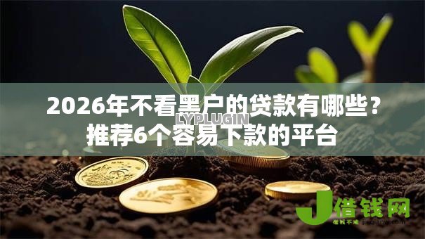 2026年不看黑户的贷款有哪些？推荐6个容易下款的平台
