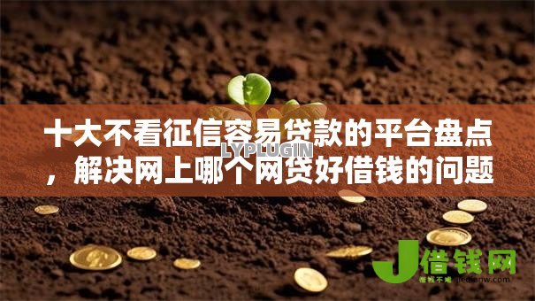十大不看征信容易贷款的平台盘点，解决网上哪个网贷好借钱的问题