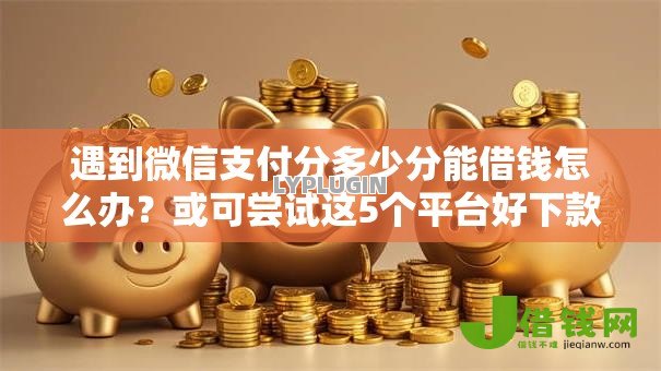 遇到微信支付分多少分能借钱怎么办？或可尝试这5个平台好下款