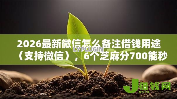 2026最新微信怎么备注借钱用途（支持微信），6个芝麻分700能秒下的软件无私分享