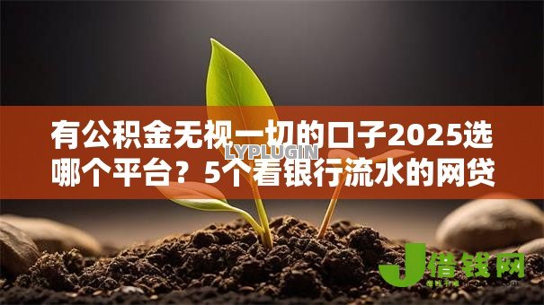 有公积金无视一切的口子2025选哪个平台？5个看银行流水的网贷平台推荐